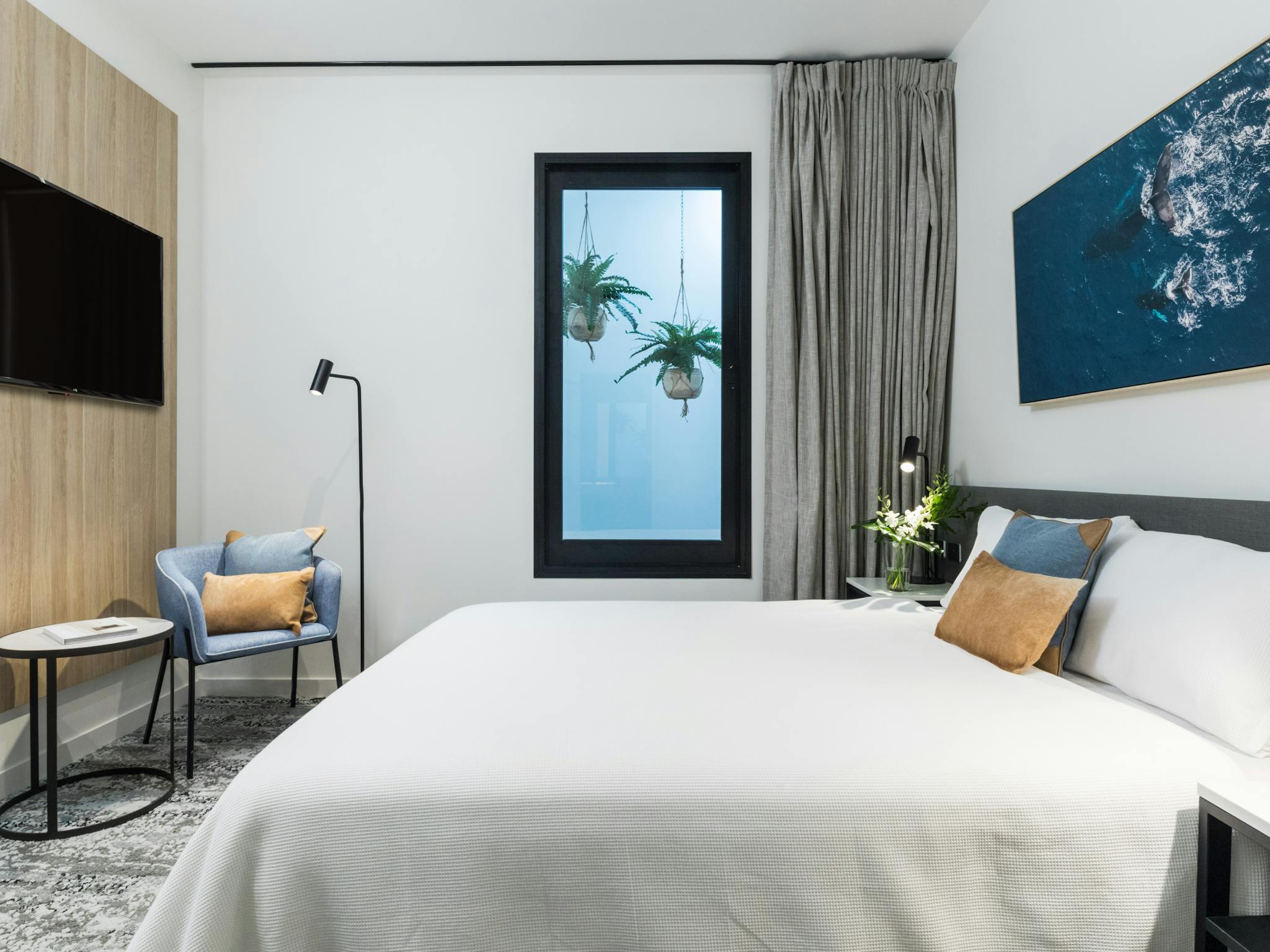 Oaks Cairns Hotel - Hotel Room Internal Oaks Cairns Hotel - Hotel Room Internal