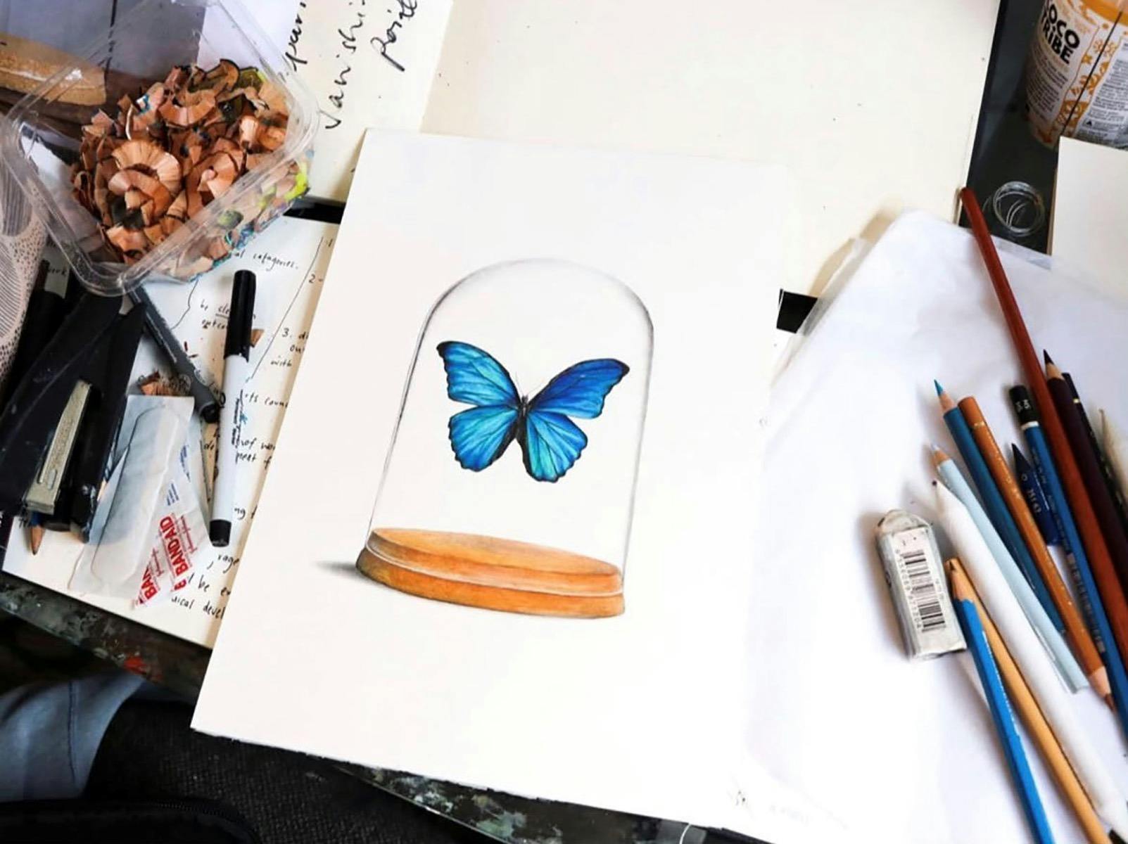 自然史插畫工作坊：靈感源自斯科特姊妹