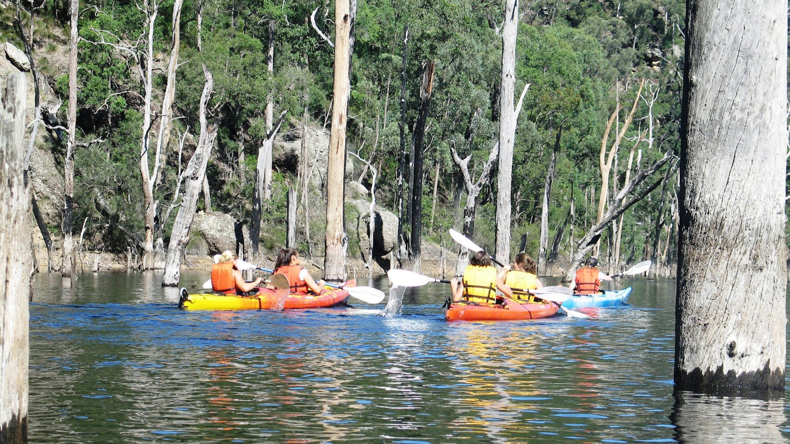 Kangaroo Valley Safaris kayak and Canoe Hire