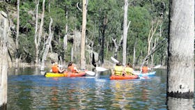 Kangaroo Valley Safaris