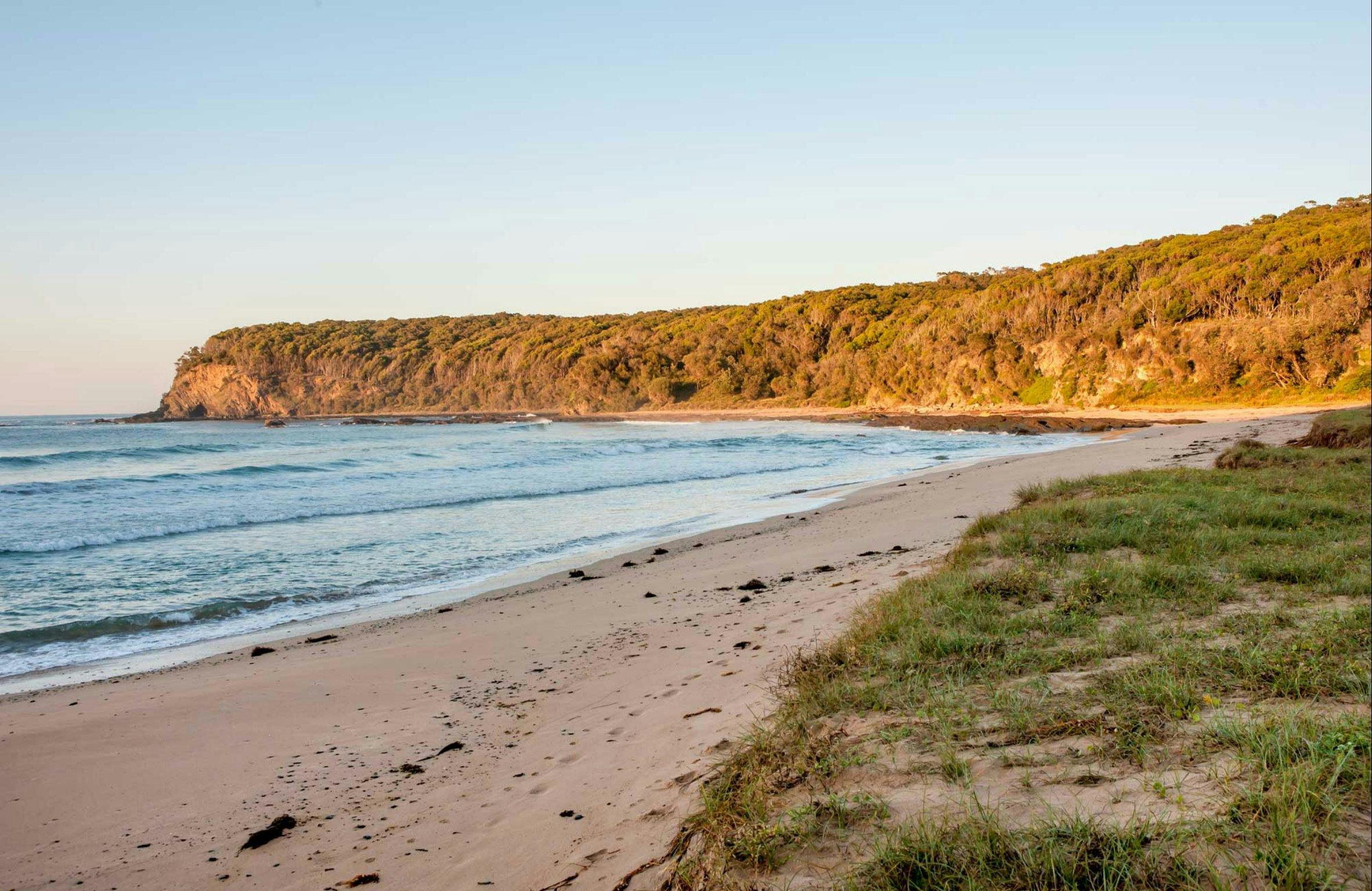 Oaky Beach walking track, Murramarang National Park. Photo: Michael van Ewijk
