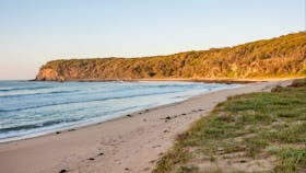 Oaky Beach walking track, Murramarang National Park. Photo: Michael van Ewijk