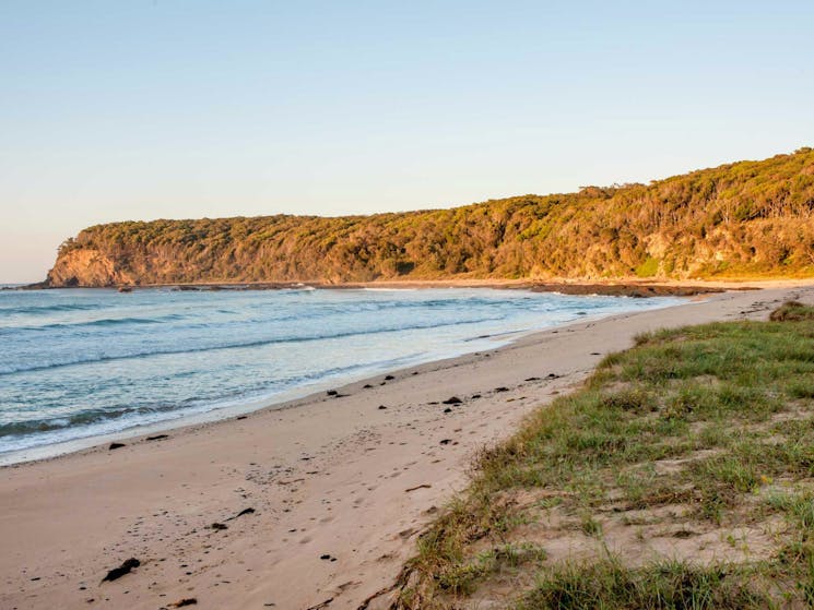 Oaky Beach walking track, Murramarang National Park. Photo: Michael van Ewijk