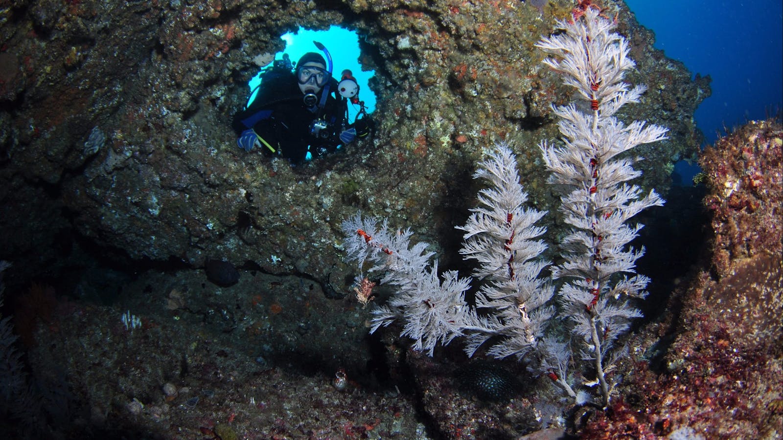 Roberts Shoal Dive Site
