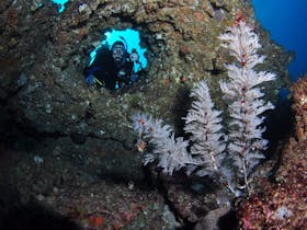 Roberts Shoal Dive Site