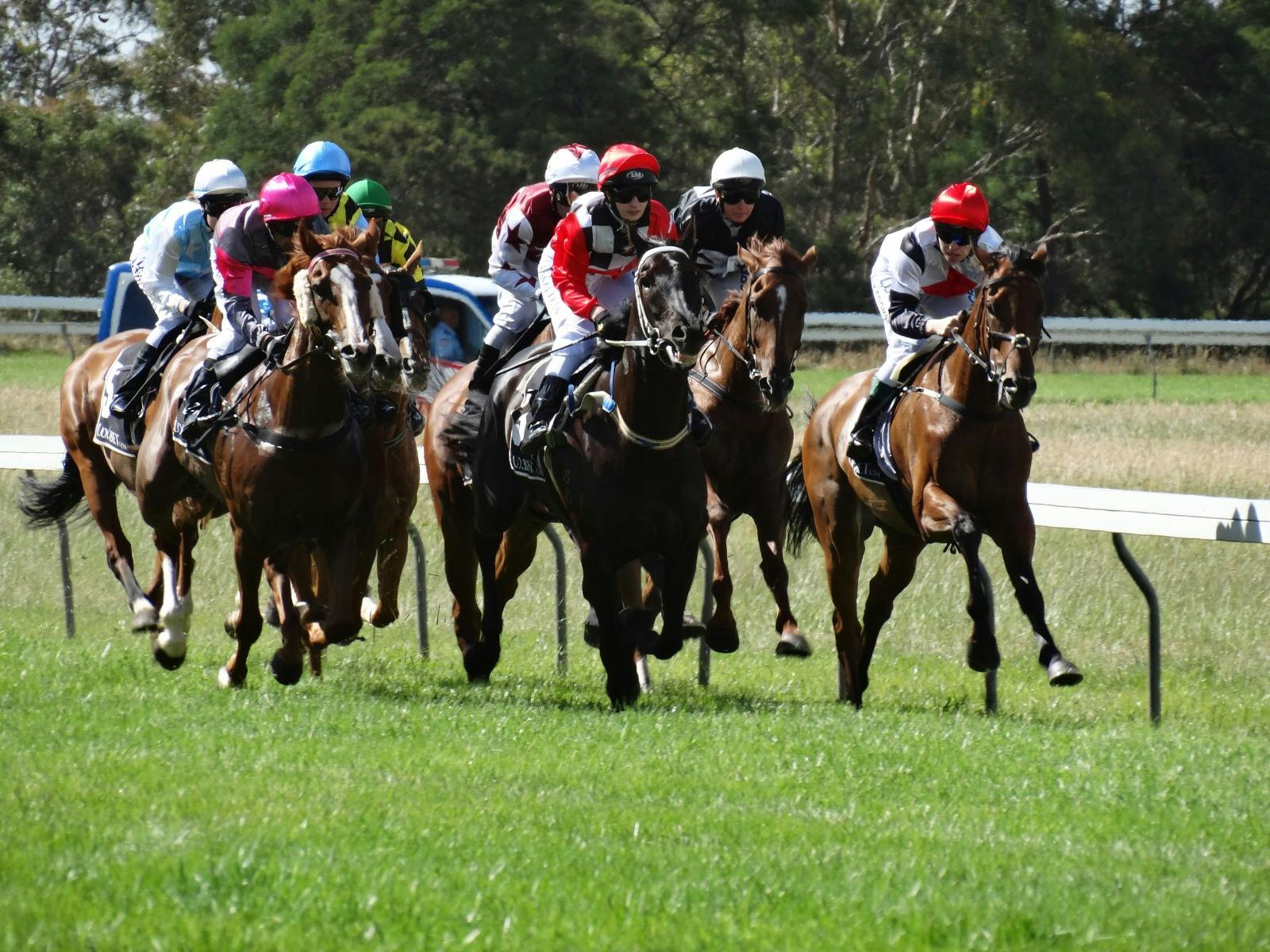 Penshurst Cup