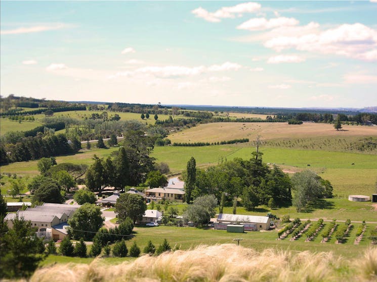 Eling Forest Cellar Door and Cafe