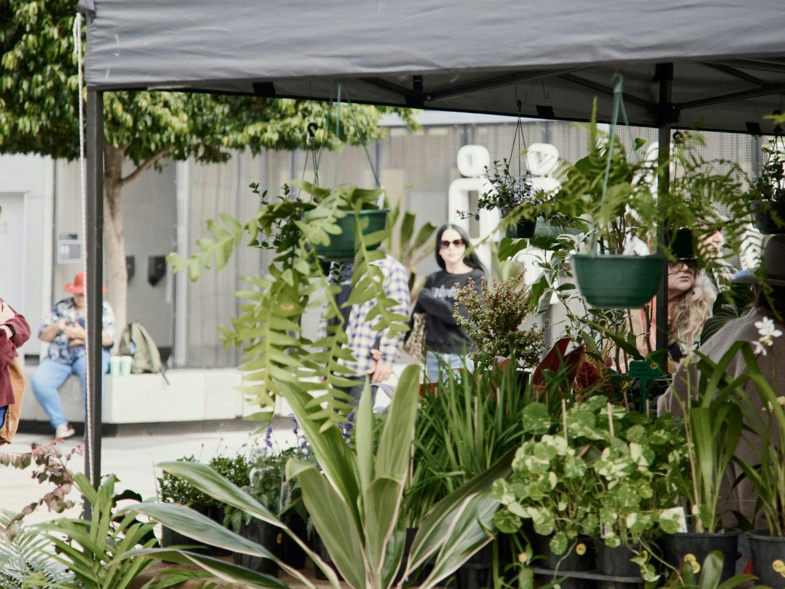 Ipswich Plant and Lifestyle Fair