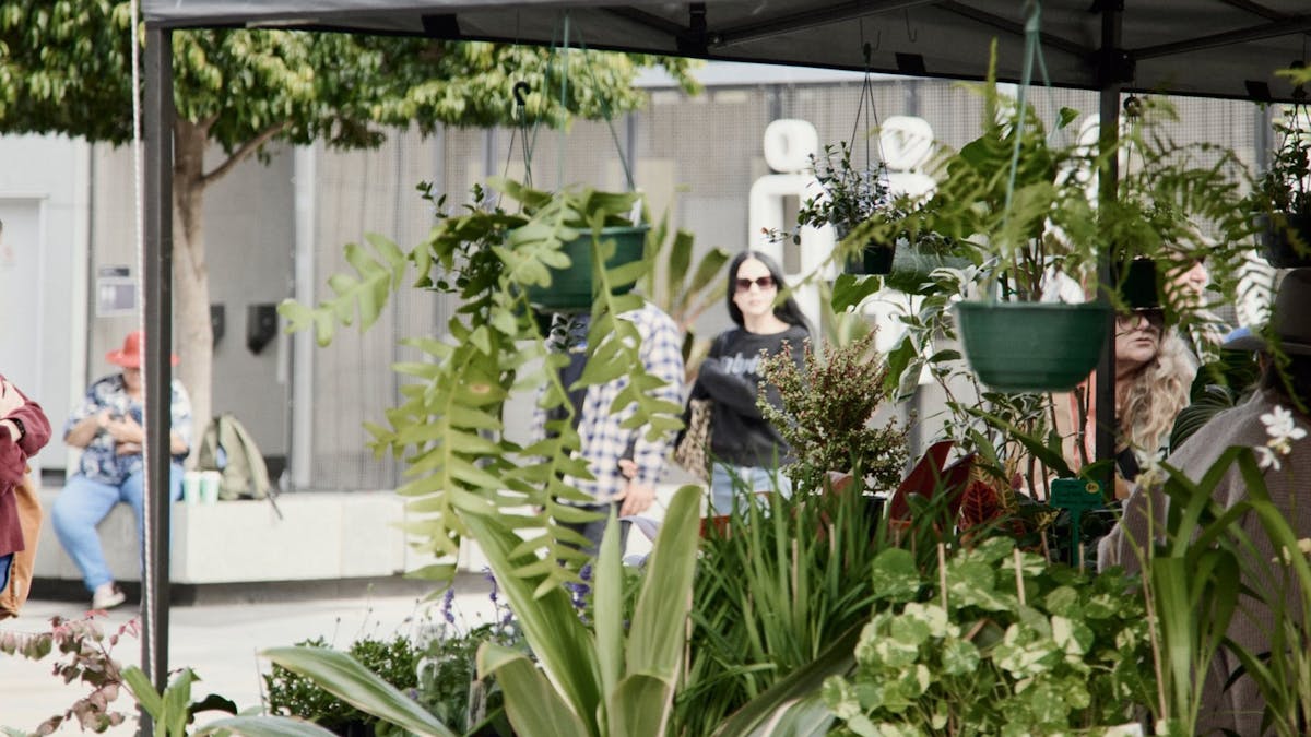 Ipswich Plant and Lifestyle Fair