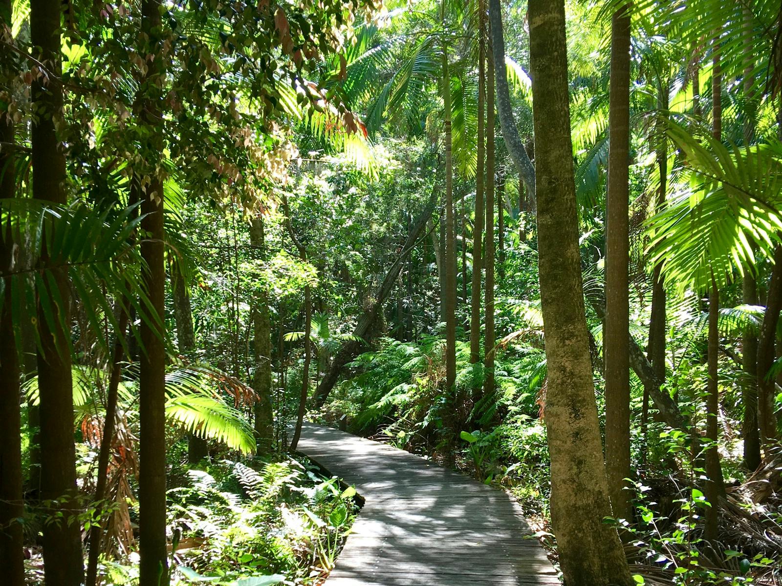 Meditation retreats