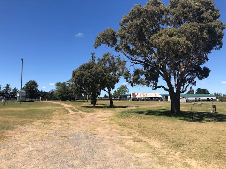 Uralla Showground