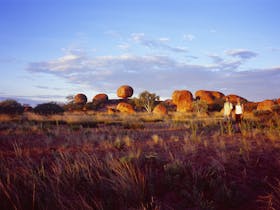 Karlu Karlu / Devils Marbles Conservation Reserve