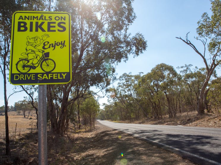 High visible yellow sign beside the road to Cumnock. The sign has a platypus riding a bike