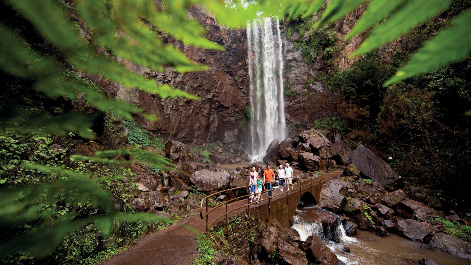 Queen Mary Falls, Main Range National Park