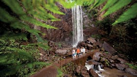 Queen Mary Falls, Main Range National Park