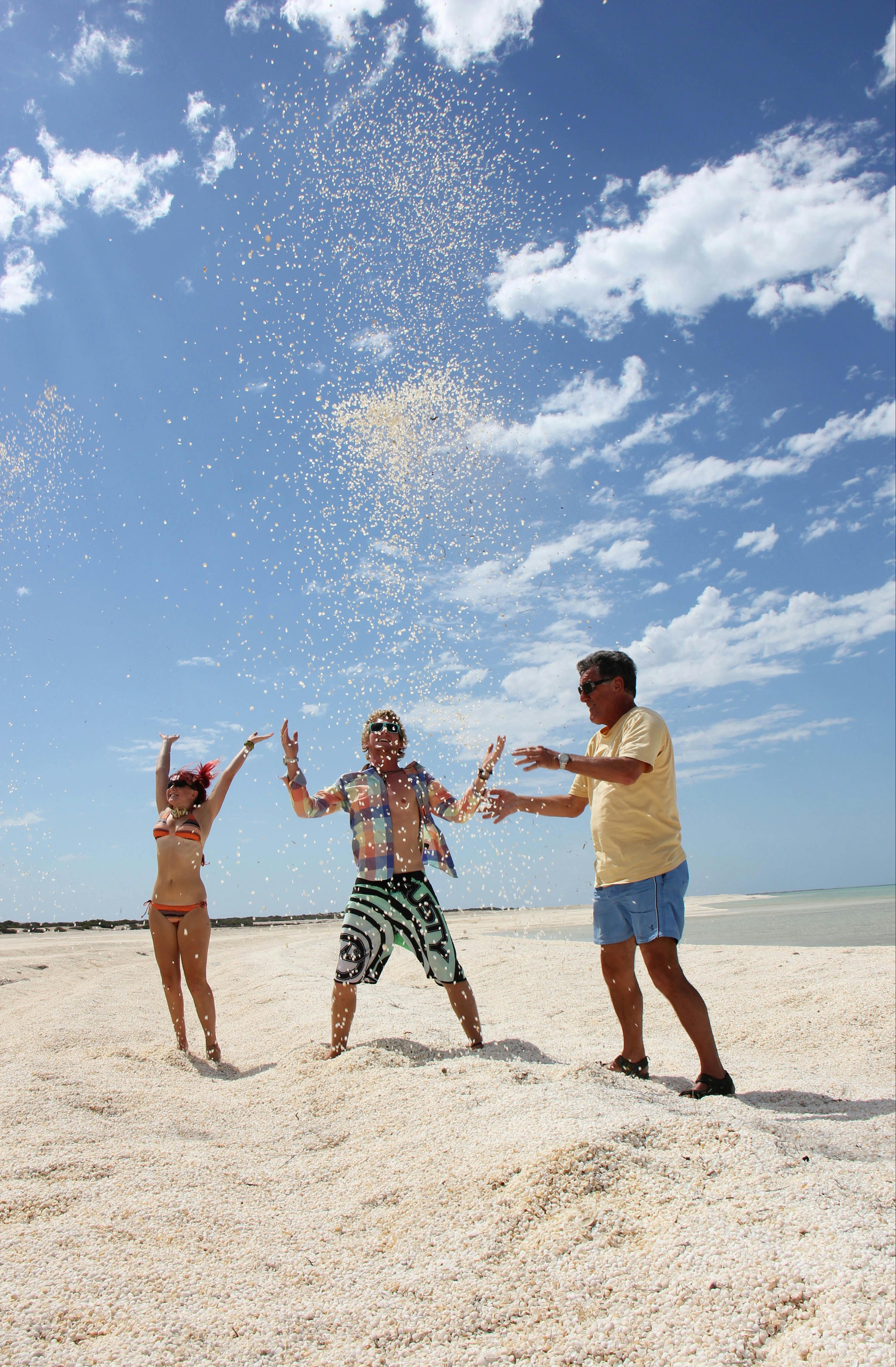 Shark Bay Coastal Tours, Denham, Western Australia