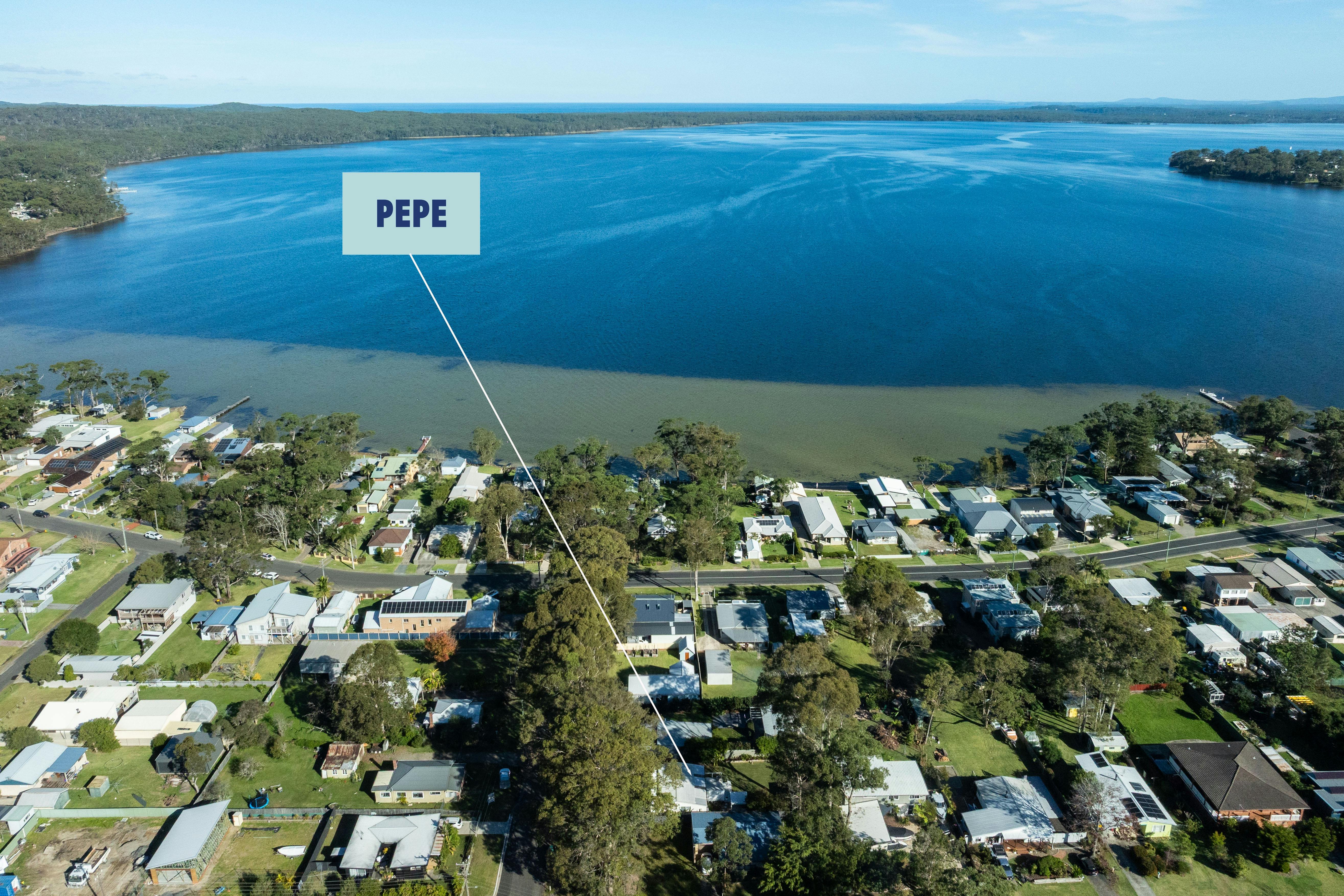 페페 사진작가 러셀 퀸