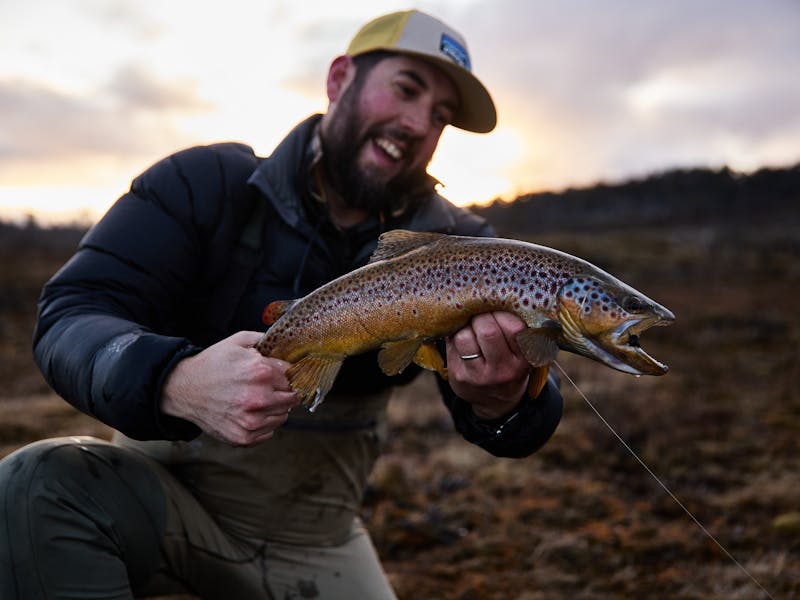 Love the Western Lakes