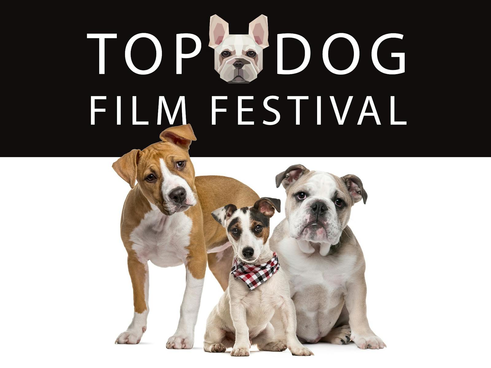 Image for Top Dog Film Festival Katoomba