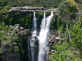 Carrington Falls, Budderoo National Park