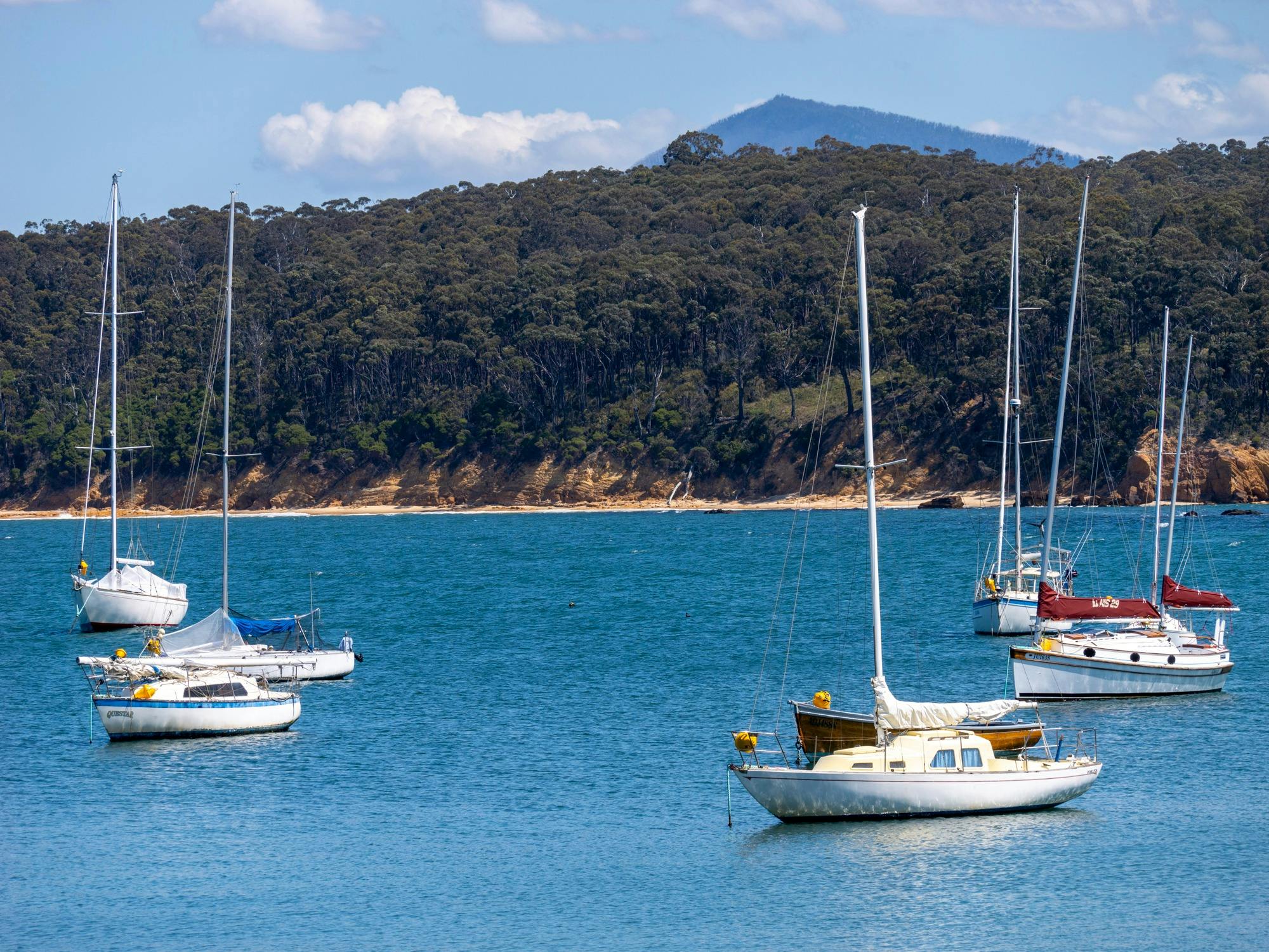 6 sail boats at Quarantine Bay