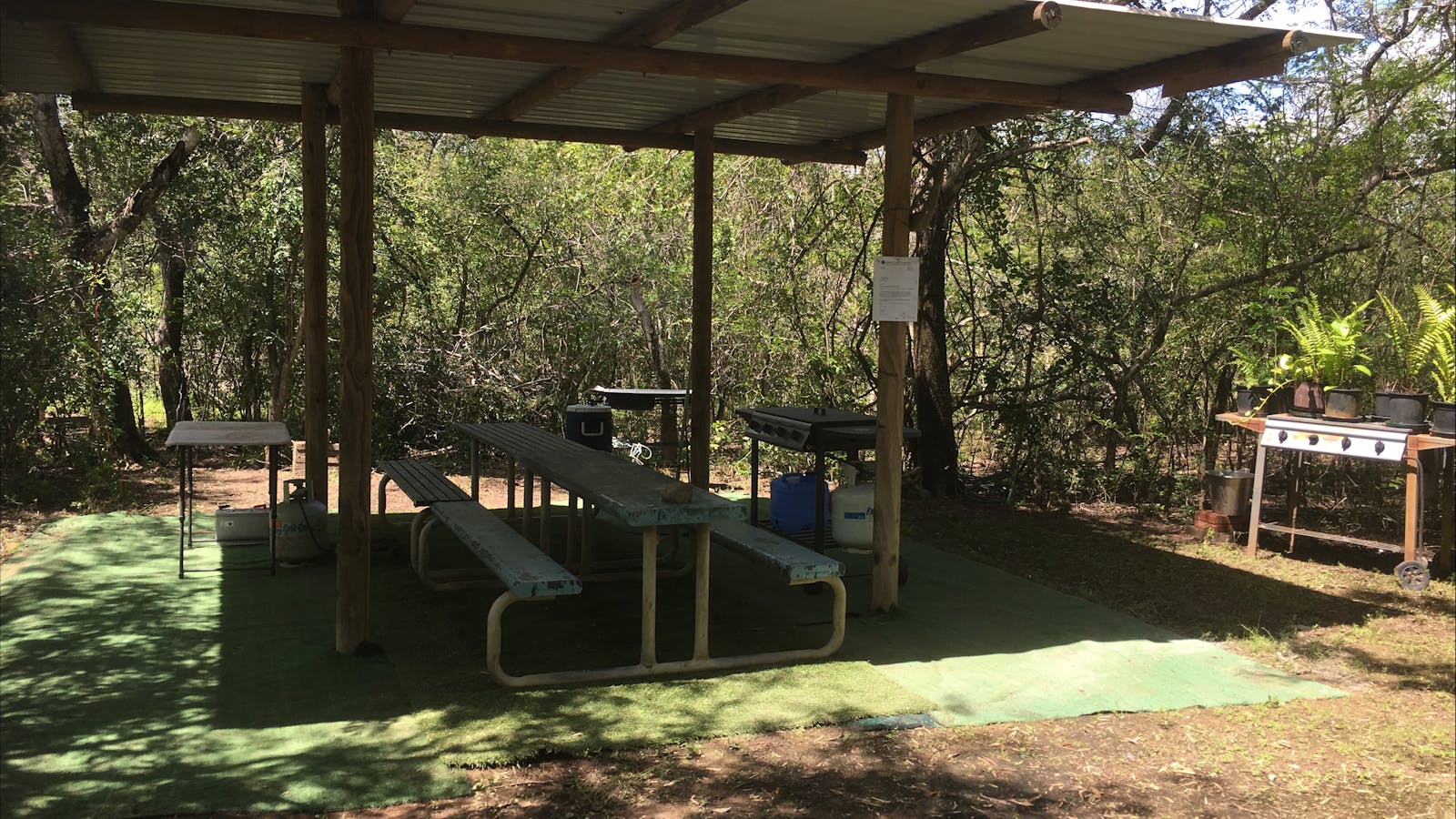 Adelaide River Tours