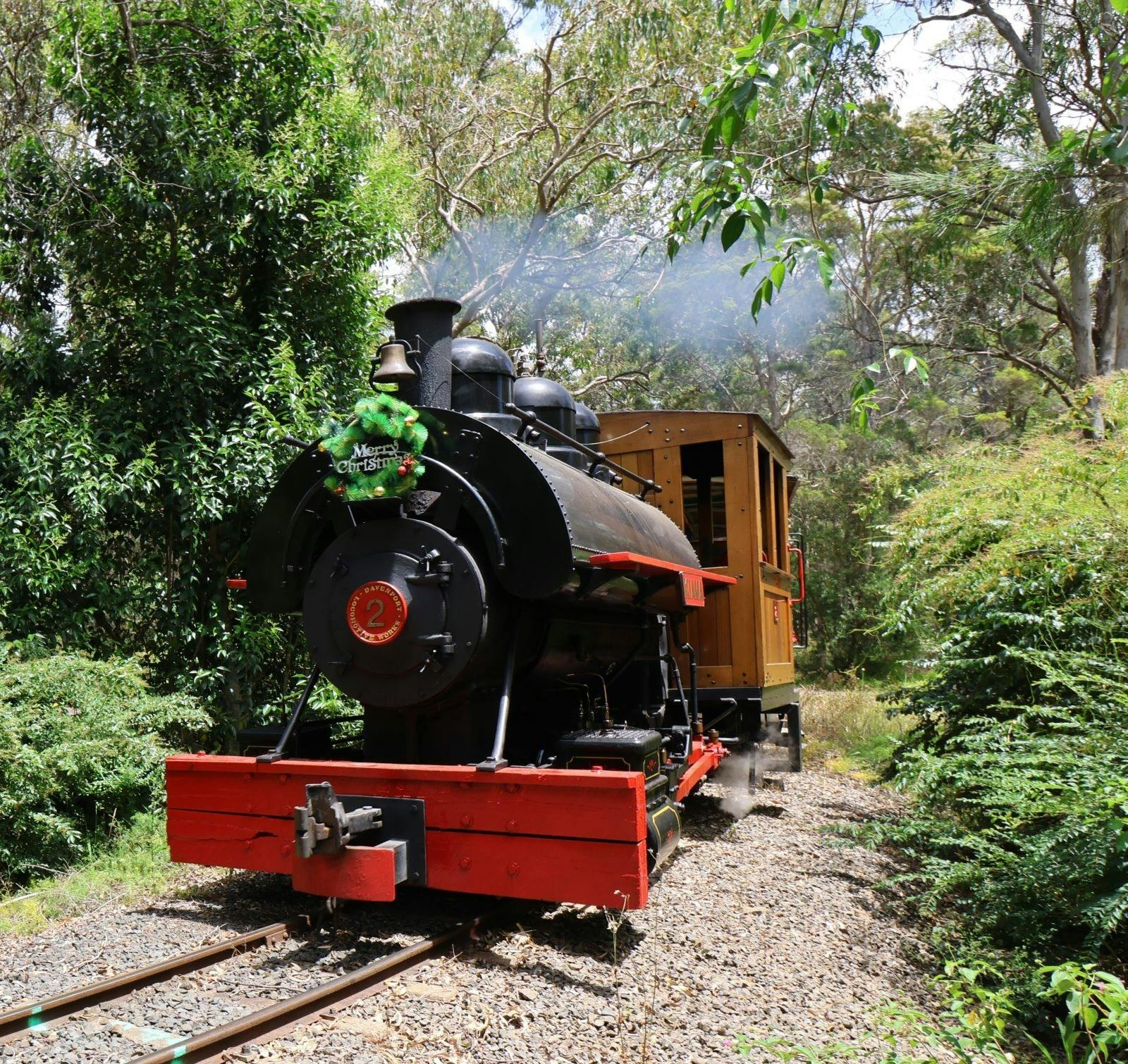 The Christmas Train | Steam Train Rides Family Fun Day