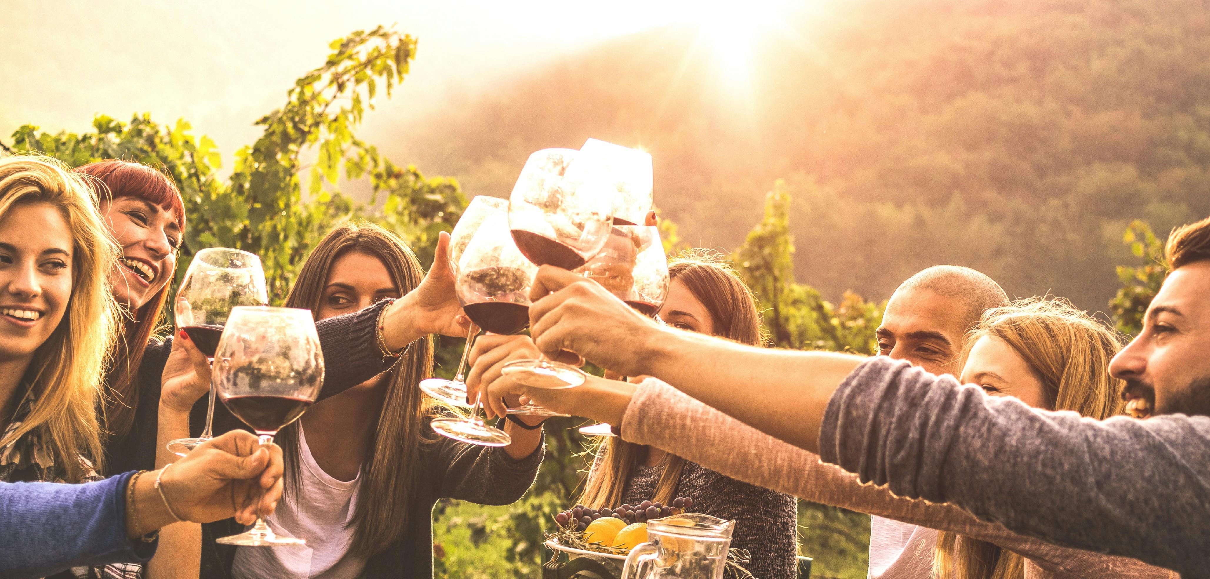 Winery Tour with friends