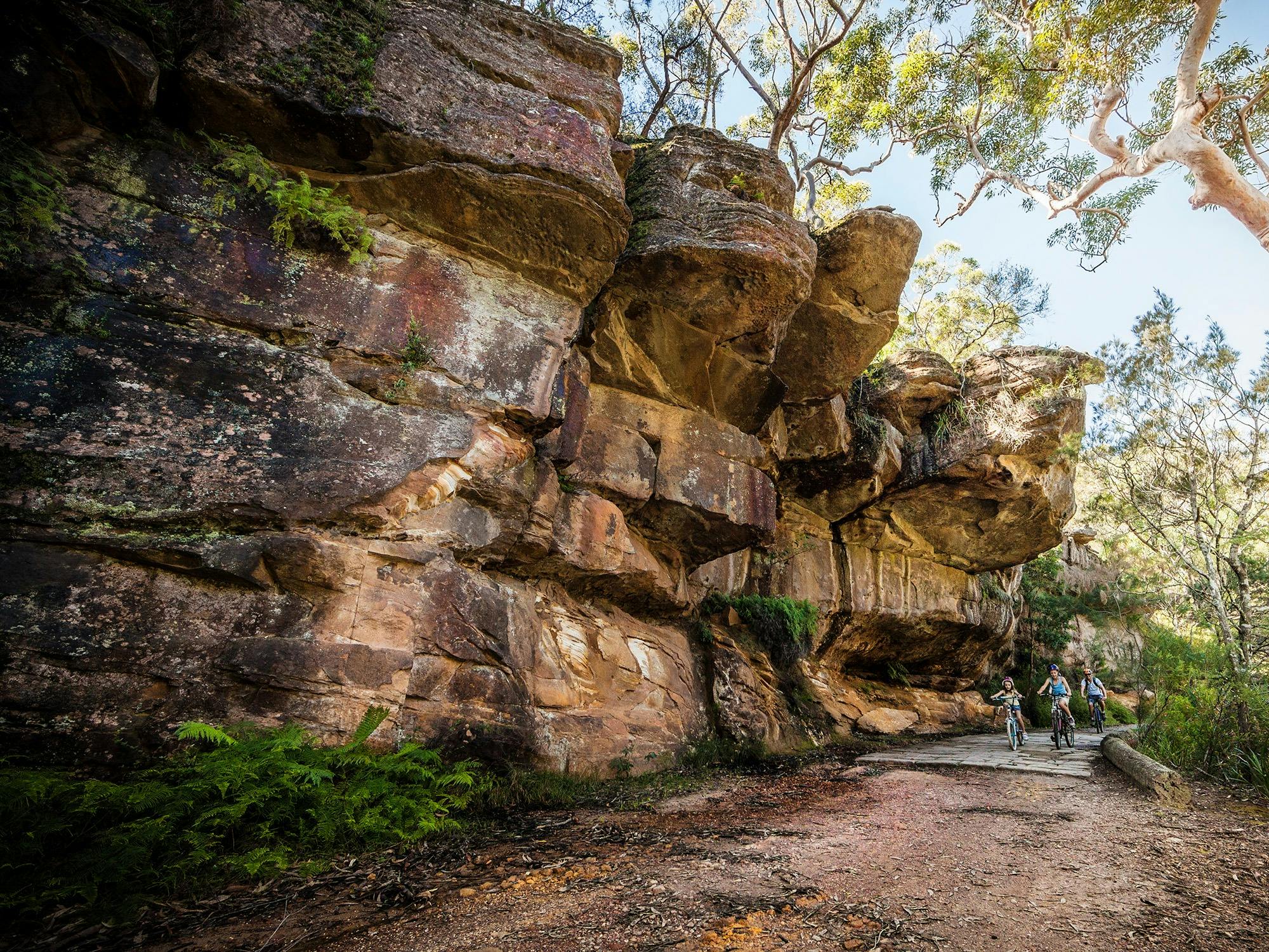 레이디 캐링턴 드라이브