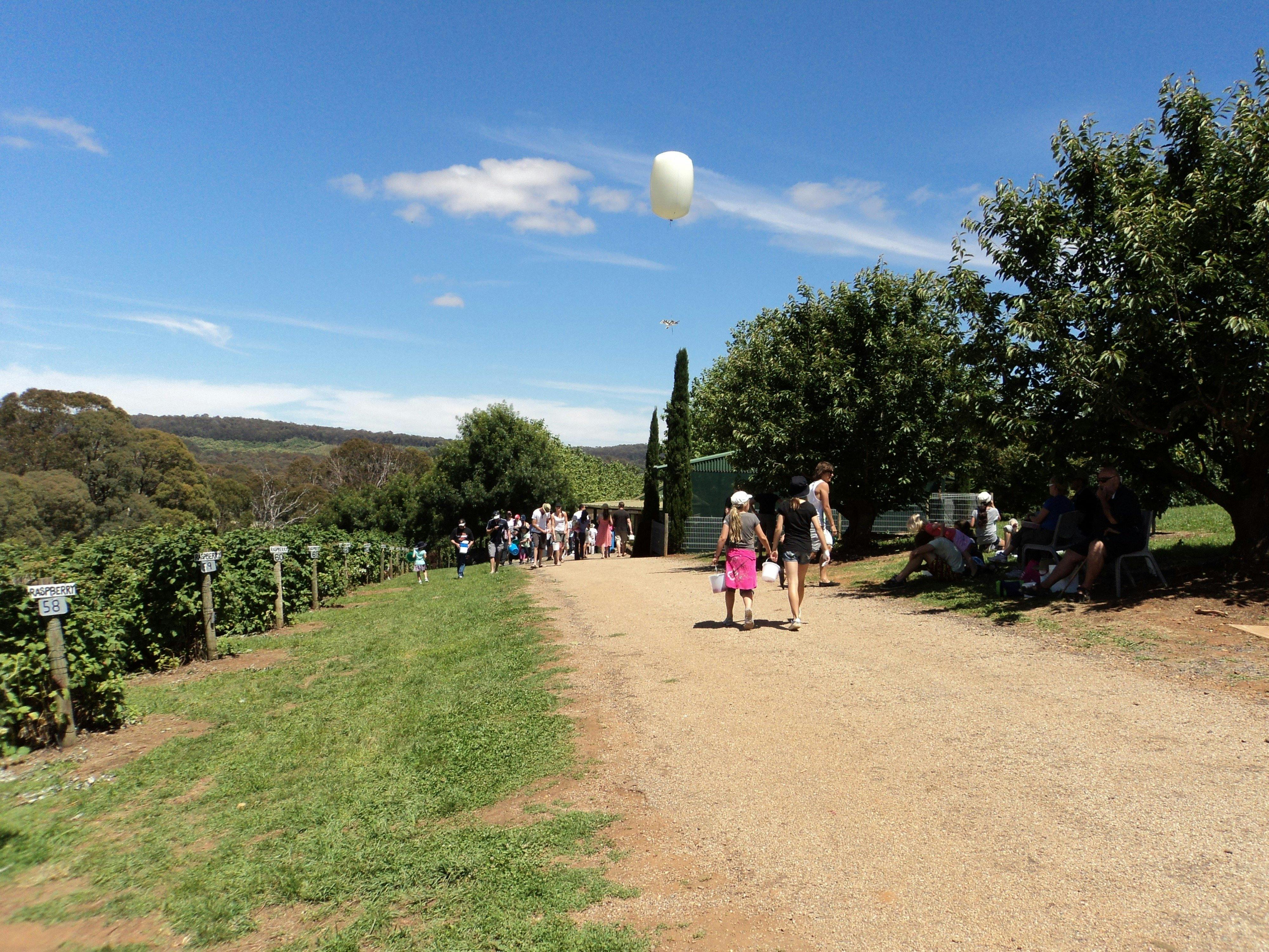 High Grove Berry Farm Stanley Victoria