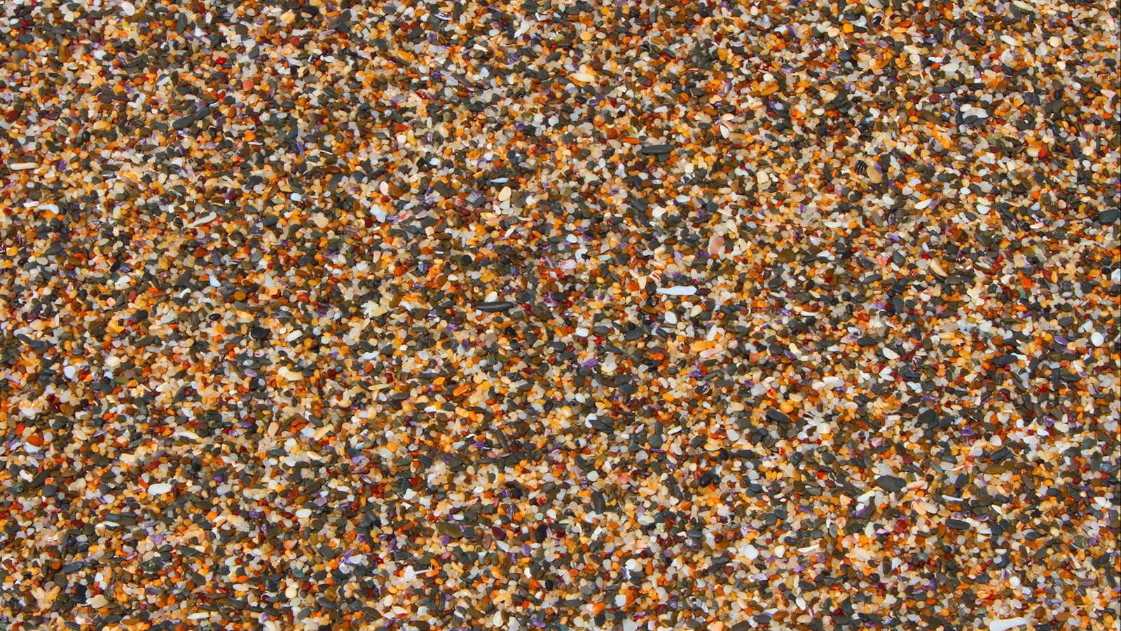 Stony Beach