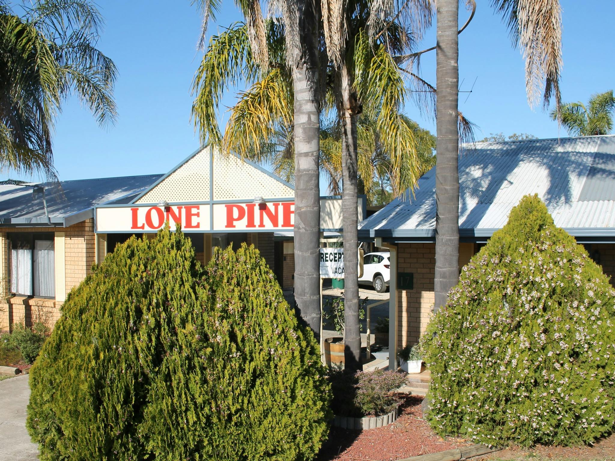 Lone Pine Motel NSW Holidays Accommodation Things To Do lone-pine-motel-nsw-holidays-accommodation-things-to-do