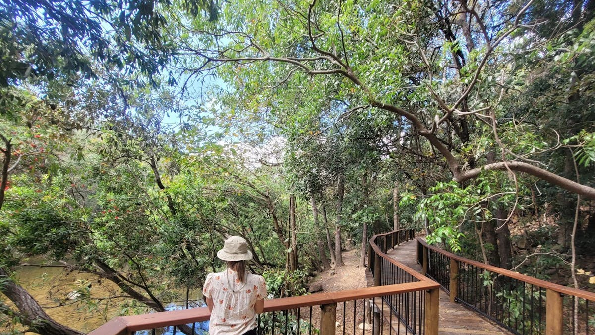 Person standing at boardwalk pull off looking at the creek.