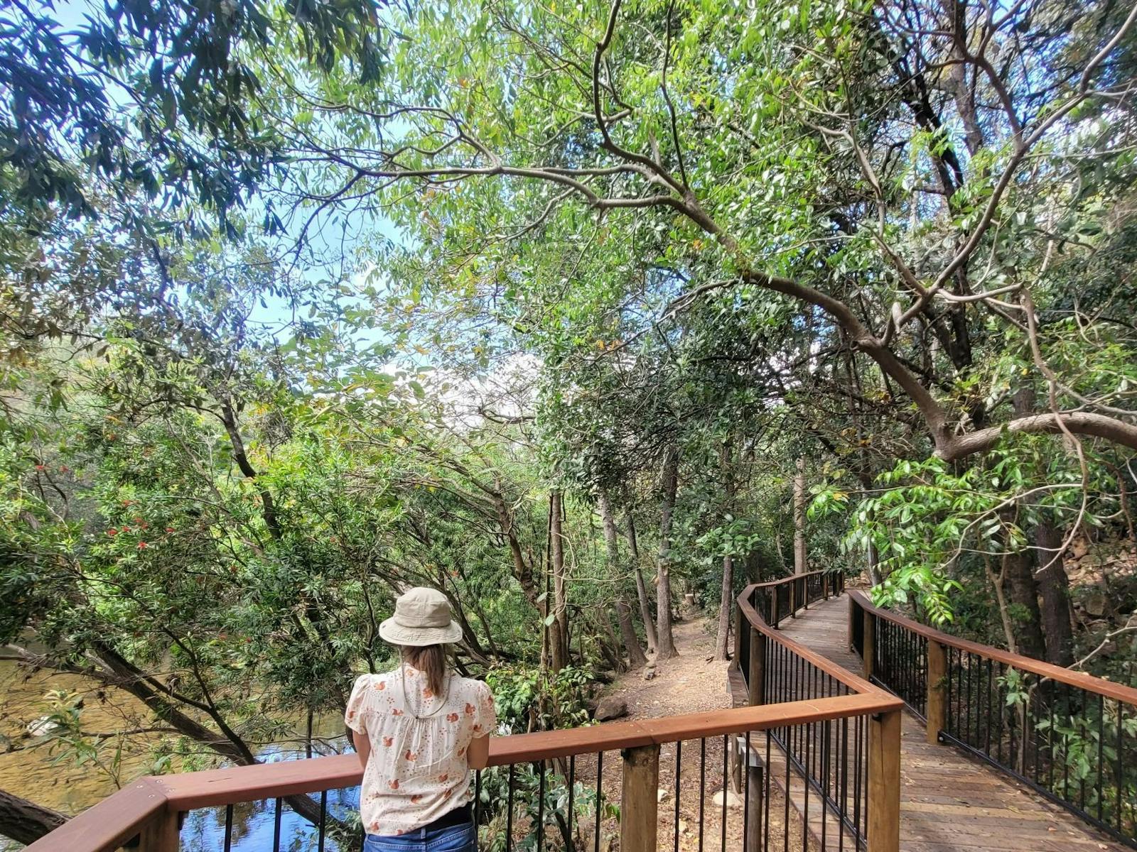Person standing at boardwalk pull off looking at the creek.