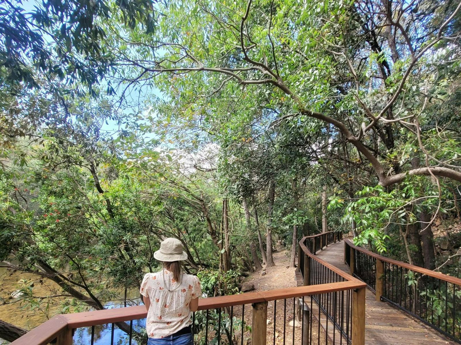 Person standing at boardwalk pull off looking at the creek.