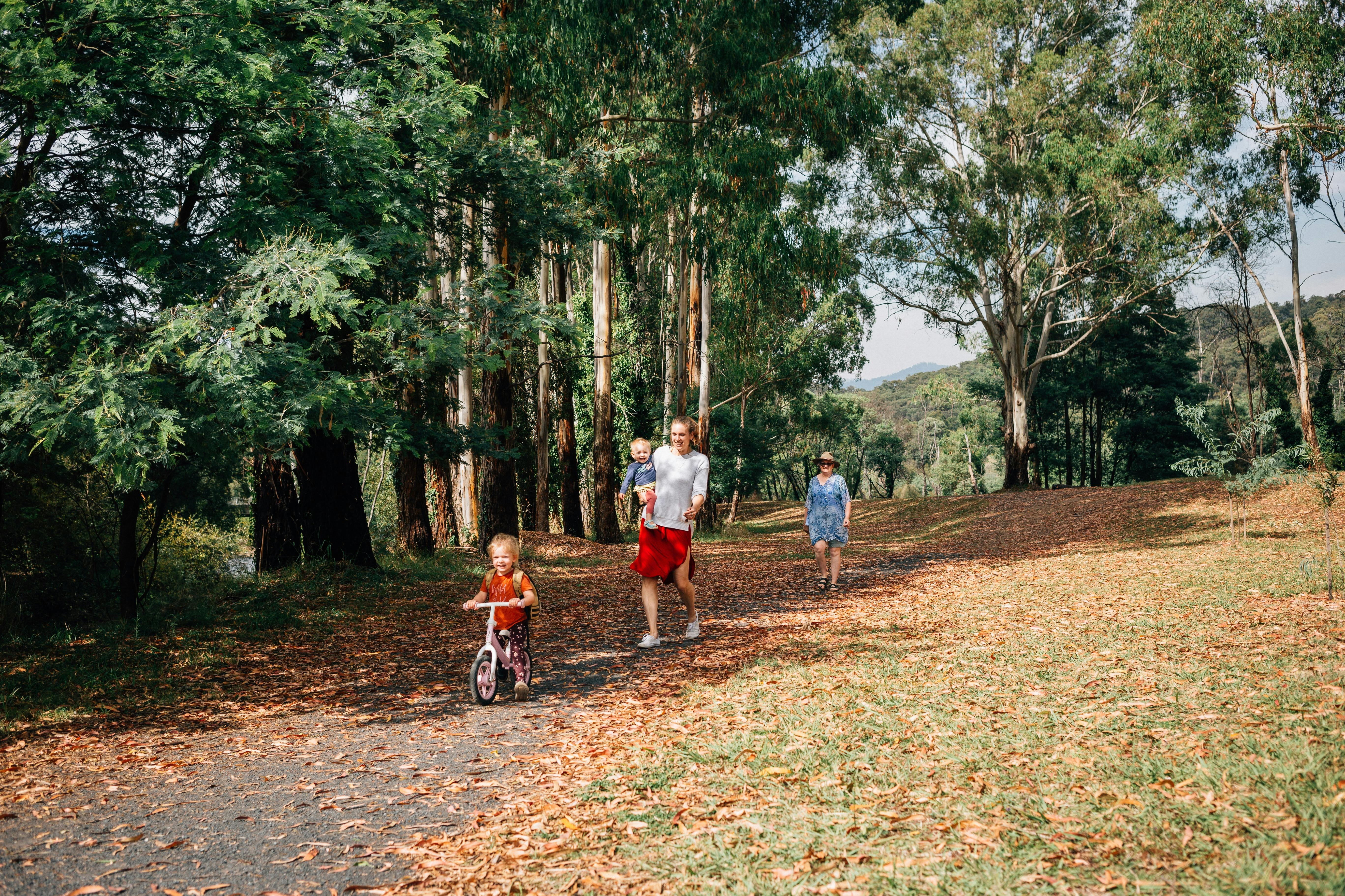 Jamieson significant tree walk