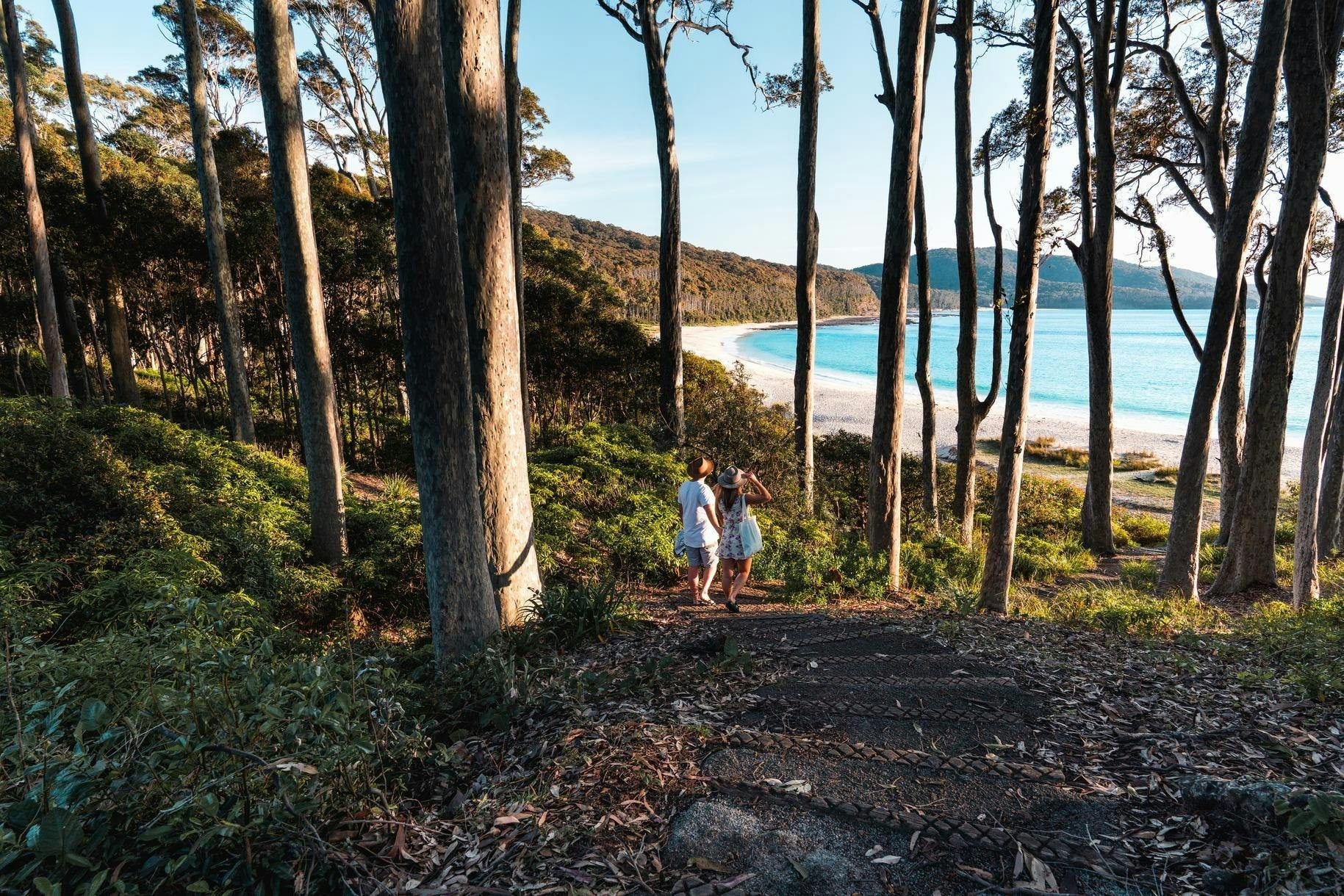 Depot Beach through the trees