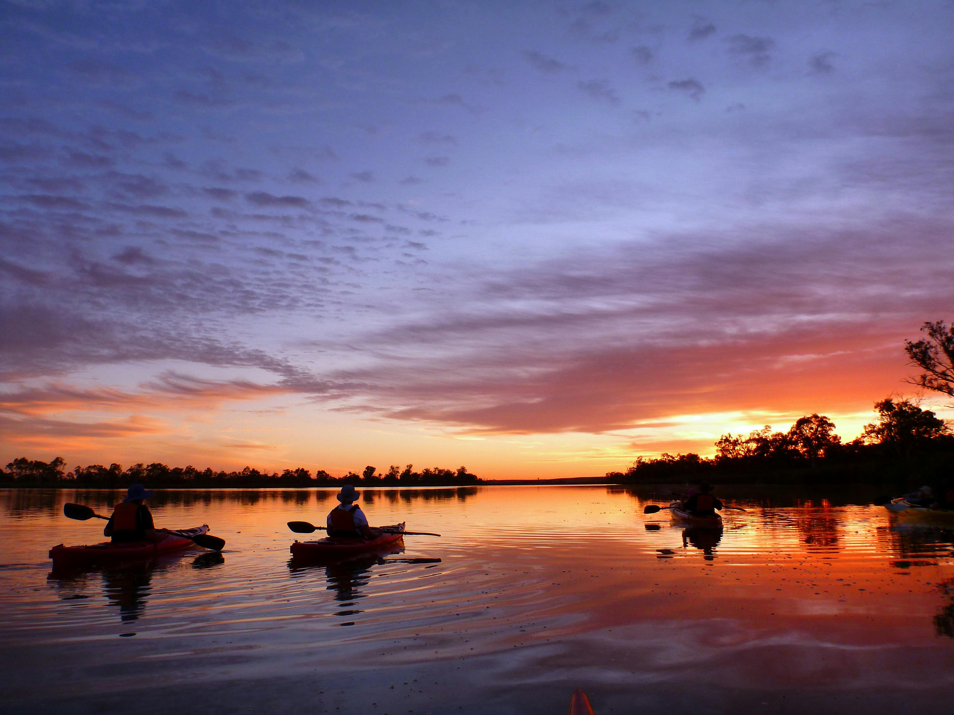 Sunset Guided Kayak Tours