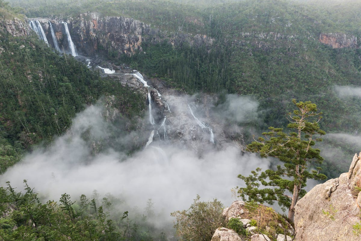 Water falls over rocky gorge, covered in cloud and mist surrounded by forest.