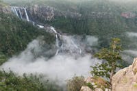 Water falls over rocky gorge, covered in cloud and mist surrounded by forest.