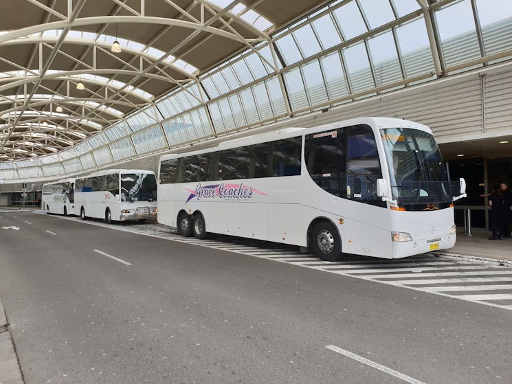Grace Coaches at Sydney airport