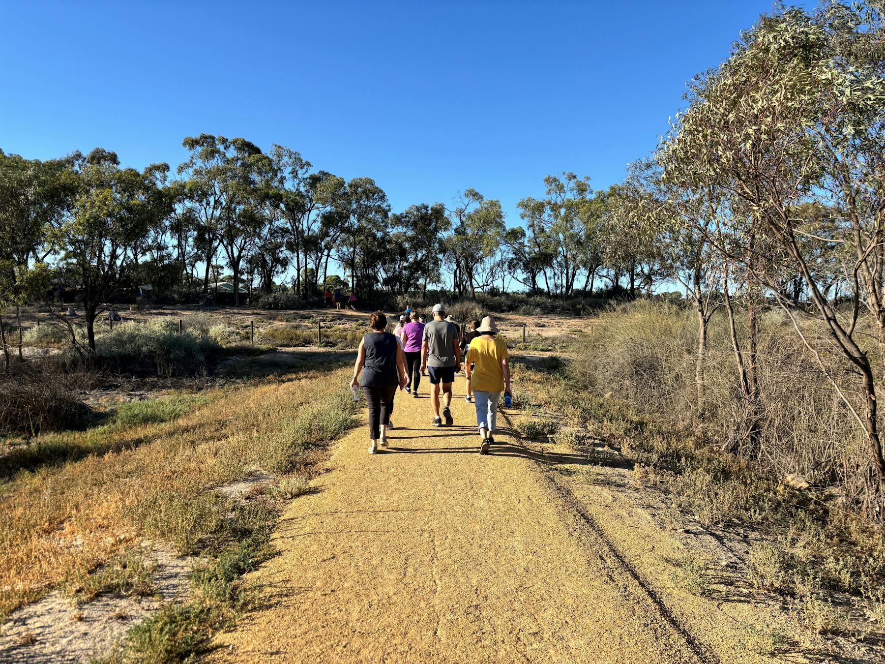 Waikerie Wetlands Parkrun