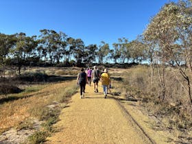 Waikerie Wetlands Parkrun