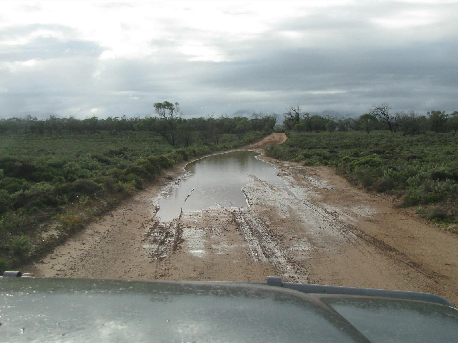 Muddy Track