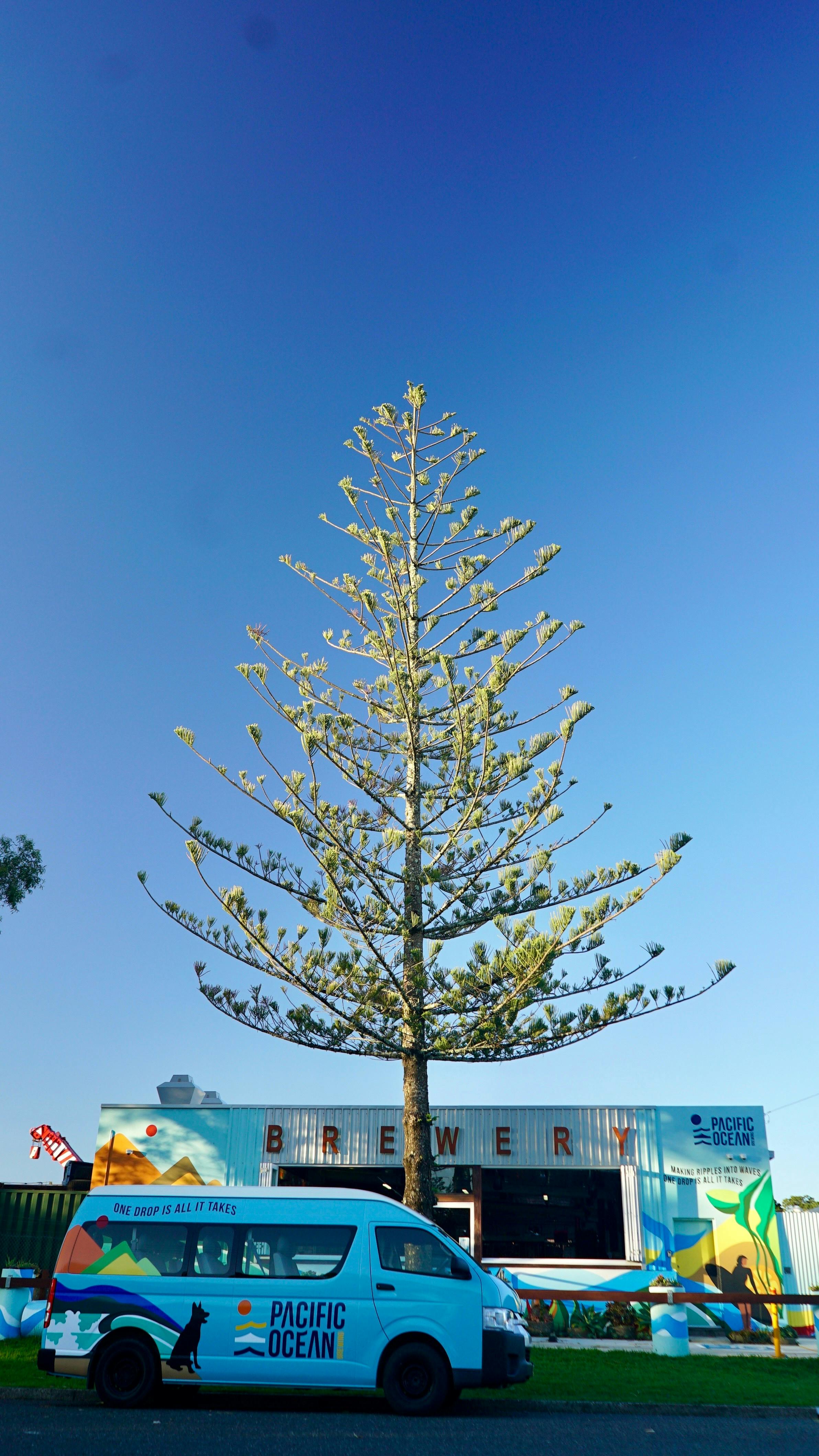 Call a head and we can pick you up