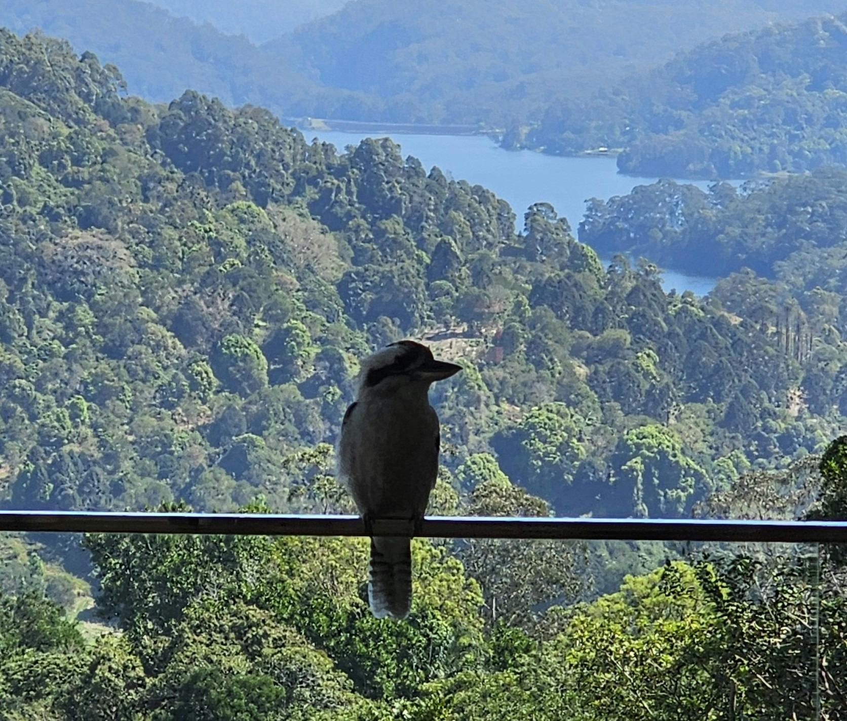 Cookaburra and Views at Lillypilly's Country Cottages
