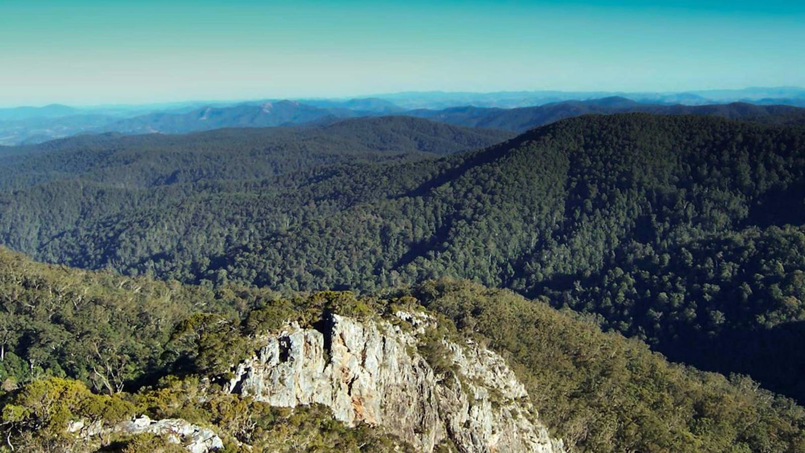 Rowleys Peak lookout