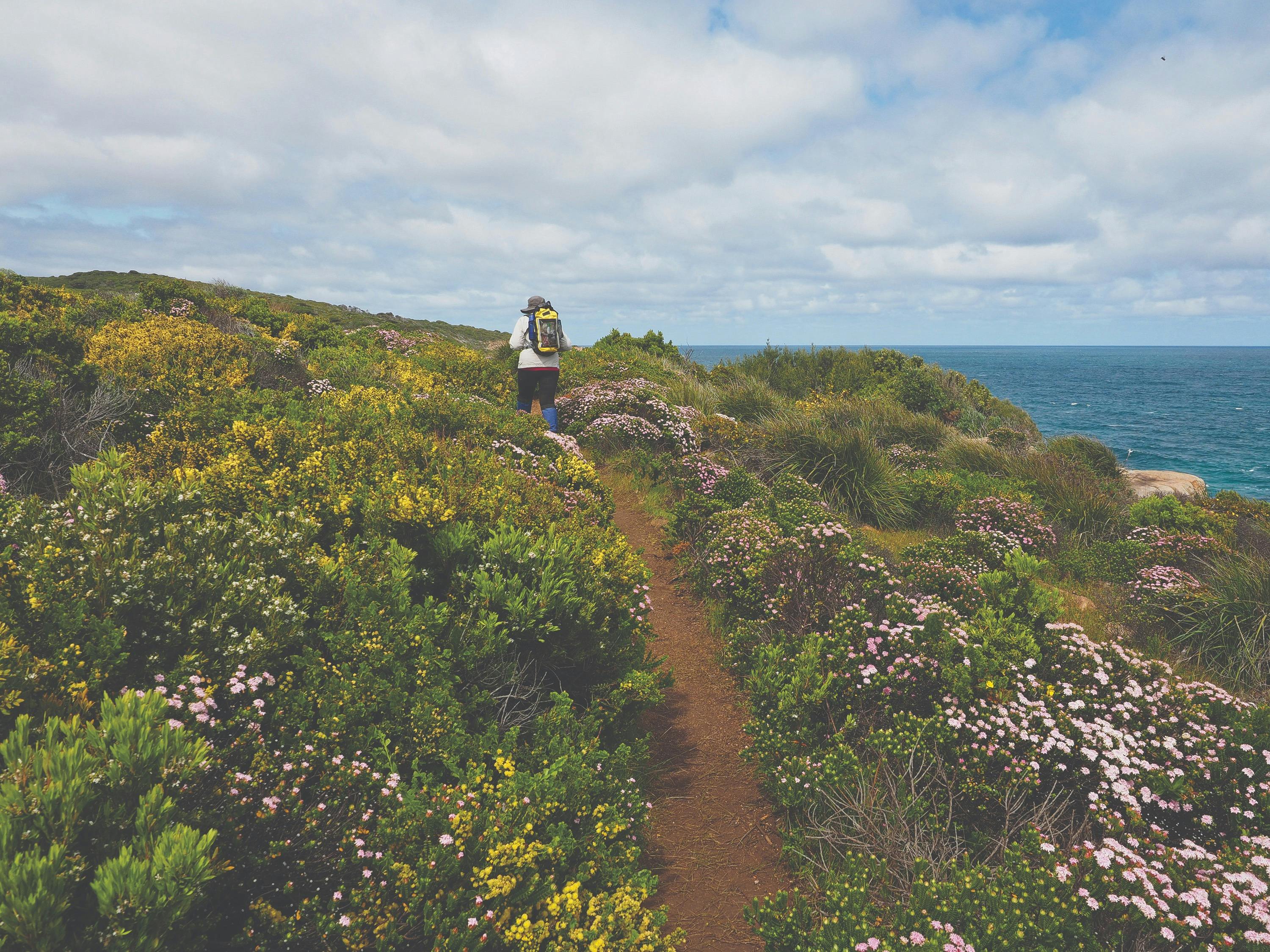 Hike Western Australia's Cape to Cape Track