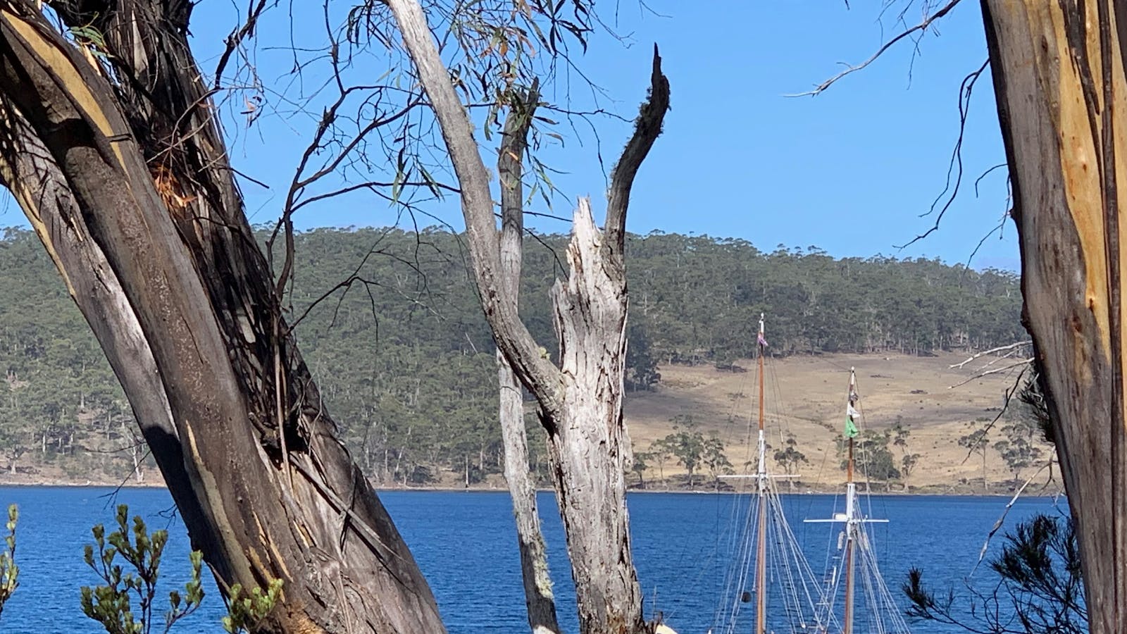 SV Rhona H at anchor: Quarantine Bay, Bruny Island, Tasmania