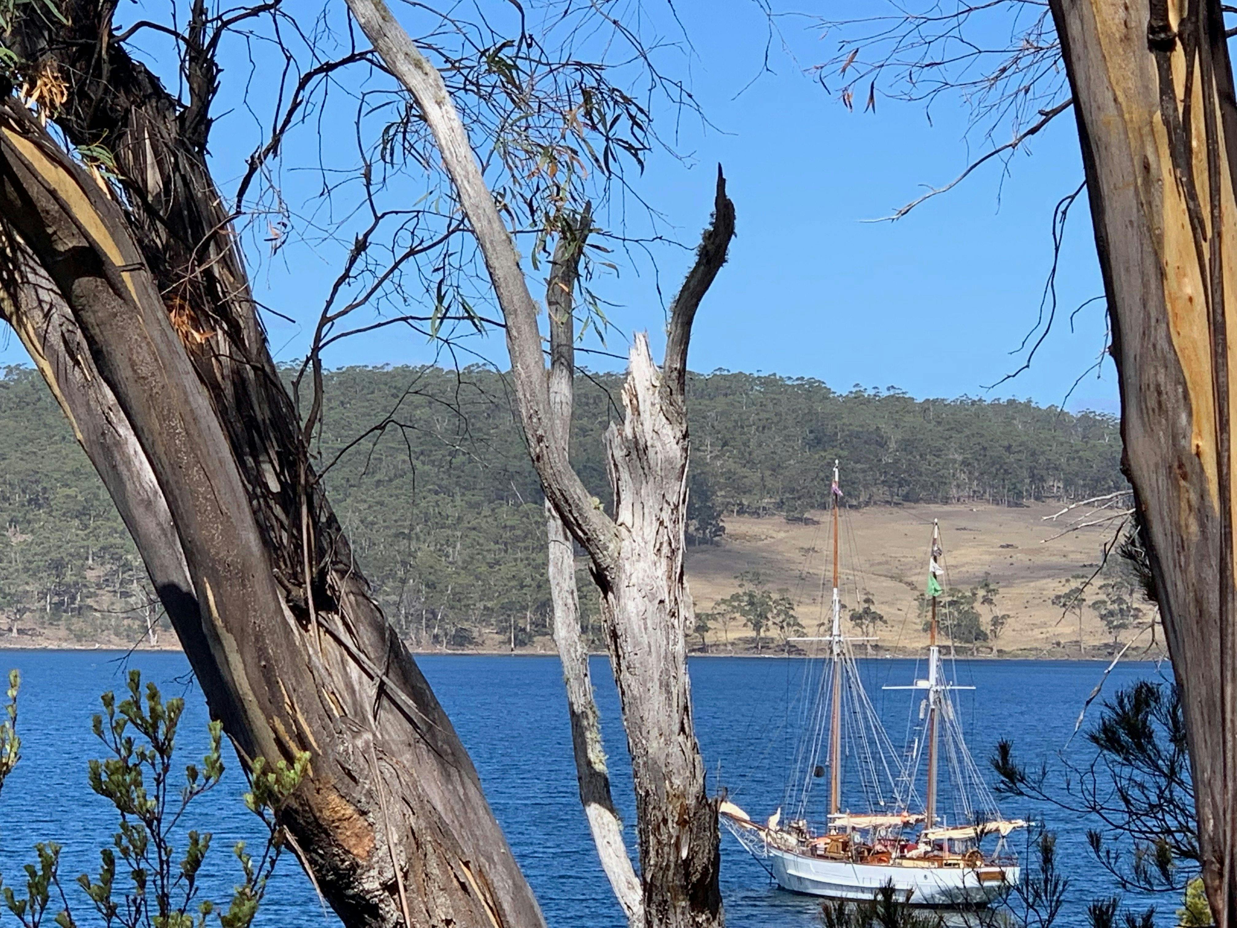 Hobart and Beyond Heritage Sailing Tasmania SV Rhona H